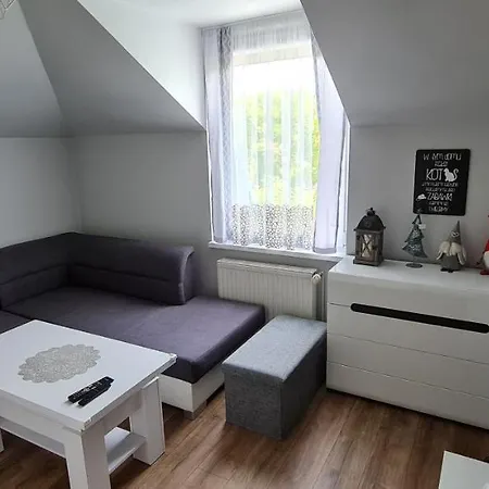 Apartament Centrum Kudowa Zdroj
